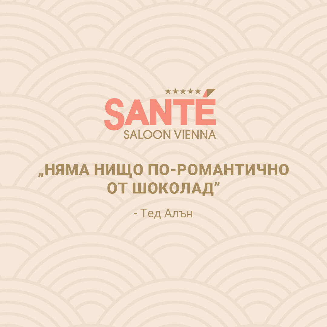 Sante-Saloon-Vienna-misyl